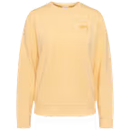 Light Yellow Light Yellow